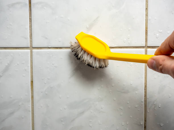 Best Home Mold Removal  in Kensington, CT