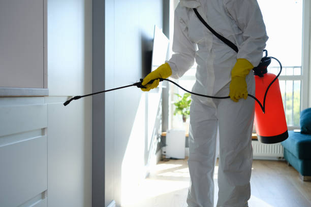 Best Commercial Mold Removal  in Kensington, CT